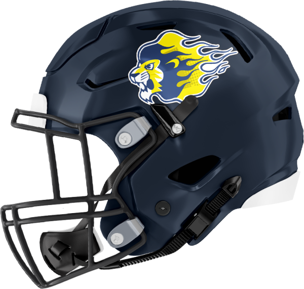 オール三菱ライオンズ