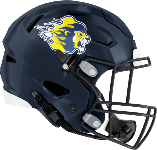 オール三菱ライオンズ