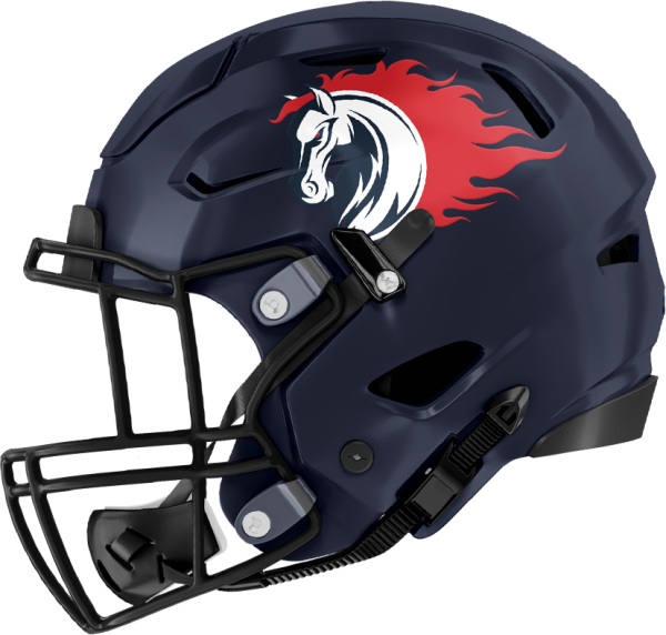 ノジマ相模原ライズ