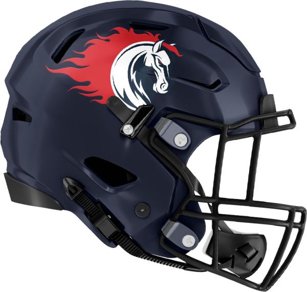 ノジマ相模原ライズ