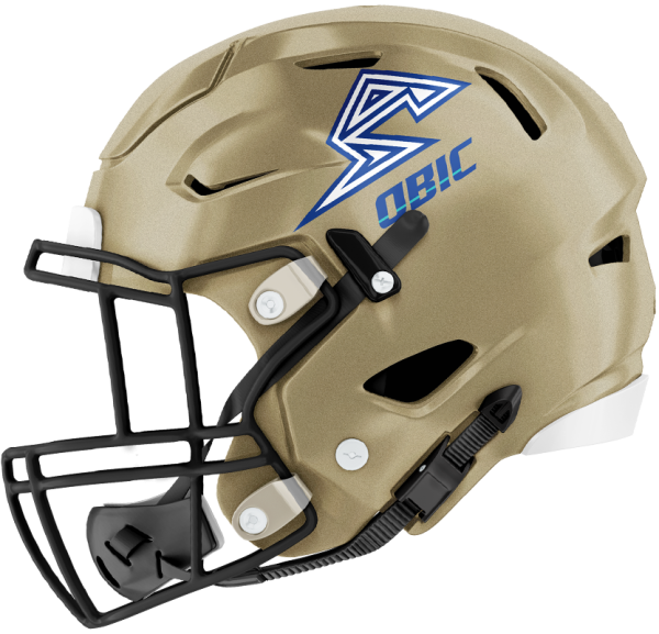 オービックシーガルズ