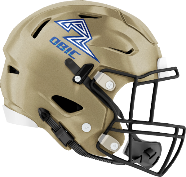 オービックシーガルズ