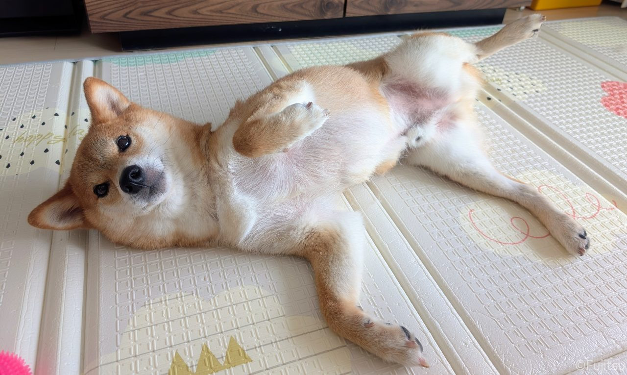 #08 今年も良い一年にしたい